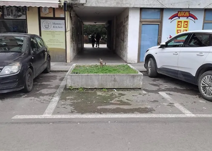 Апартаменты Luxury Two-bedroom - Private Parking